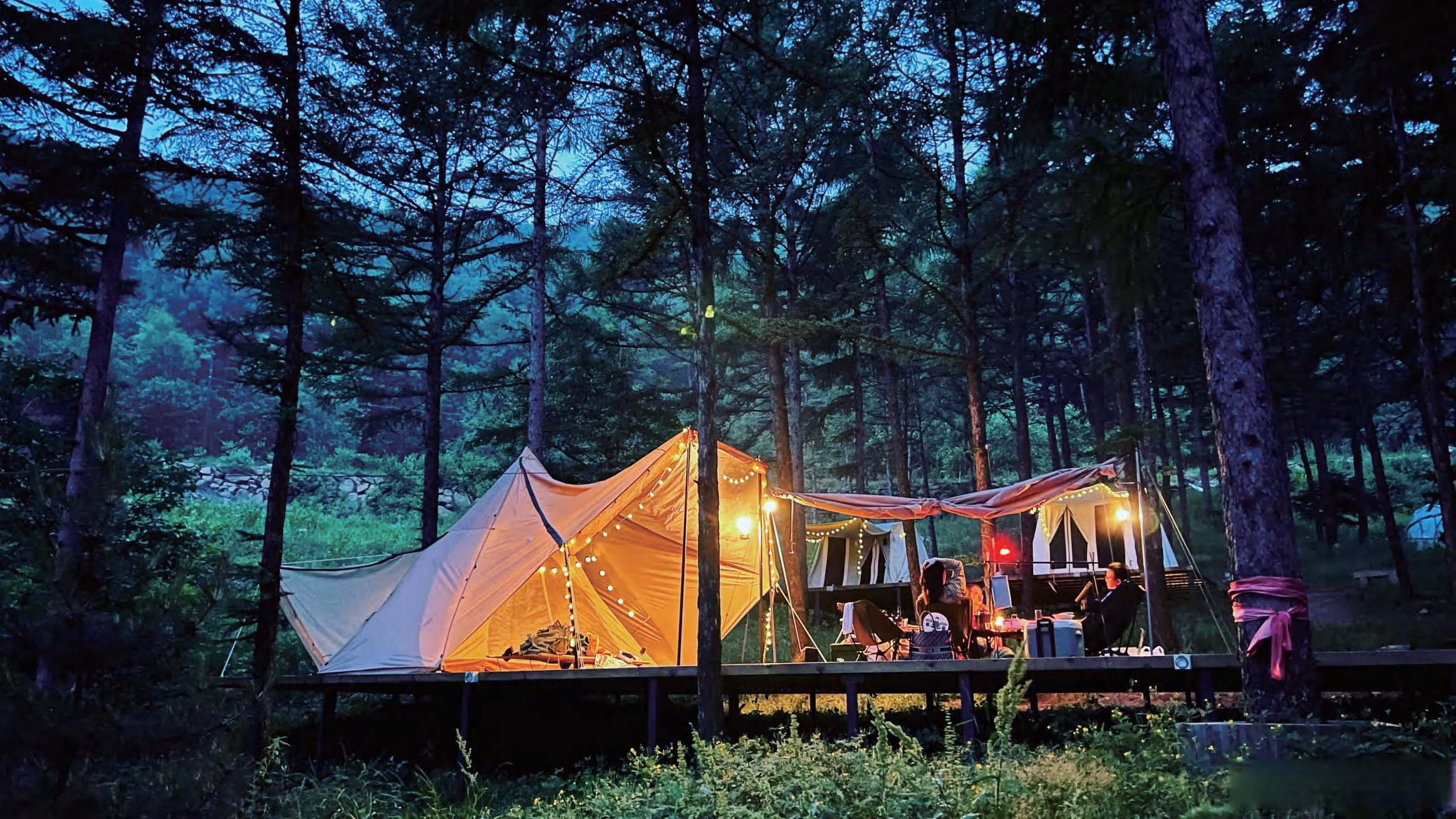 Glamping accommodation tents installed across a forest campsite